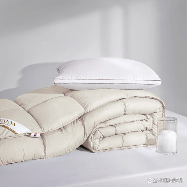 羽绒被行业前景展望与未来趋势预测2025_人保服务 ,人保伴您前行