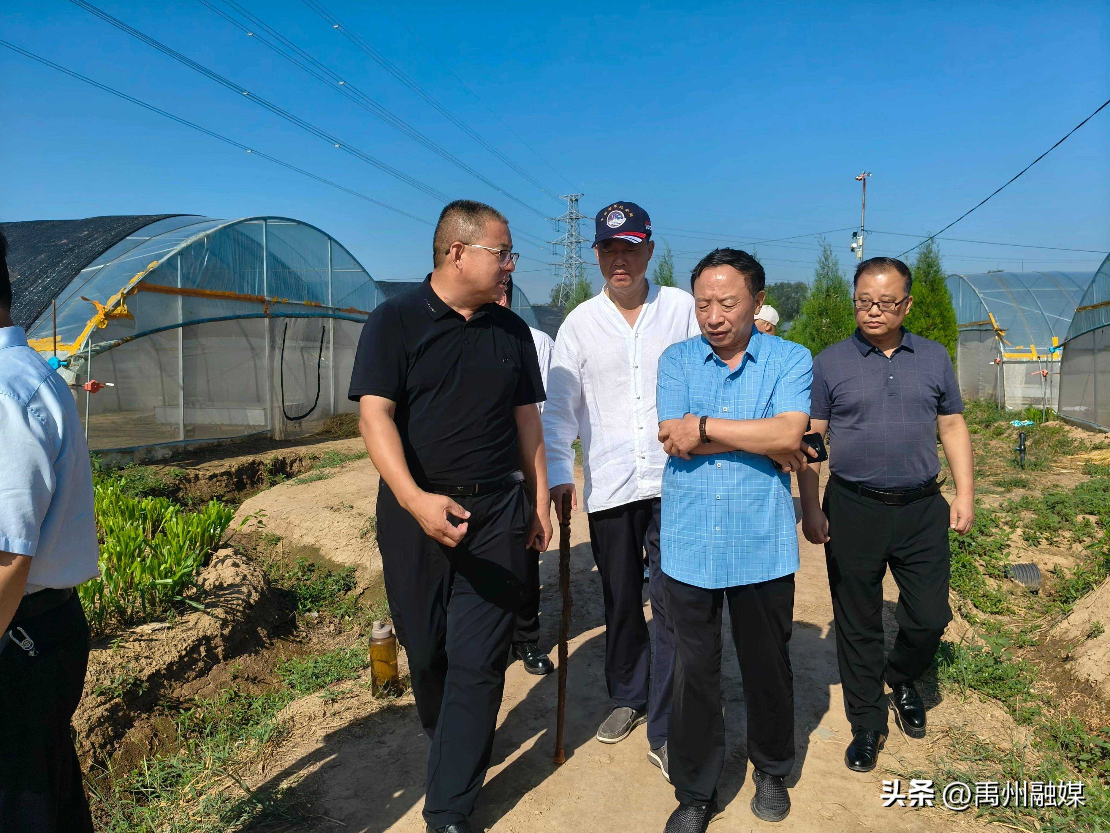 （乡村行・看振兴）山西长治潞城区：红薯“链”动增收 助力乡村发展
