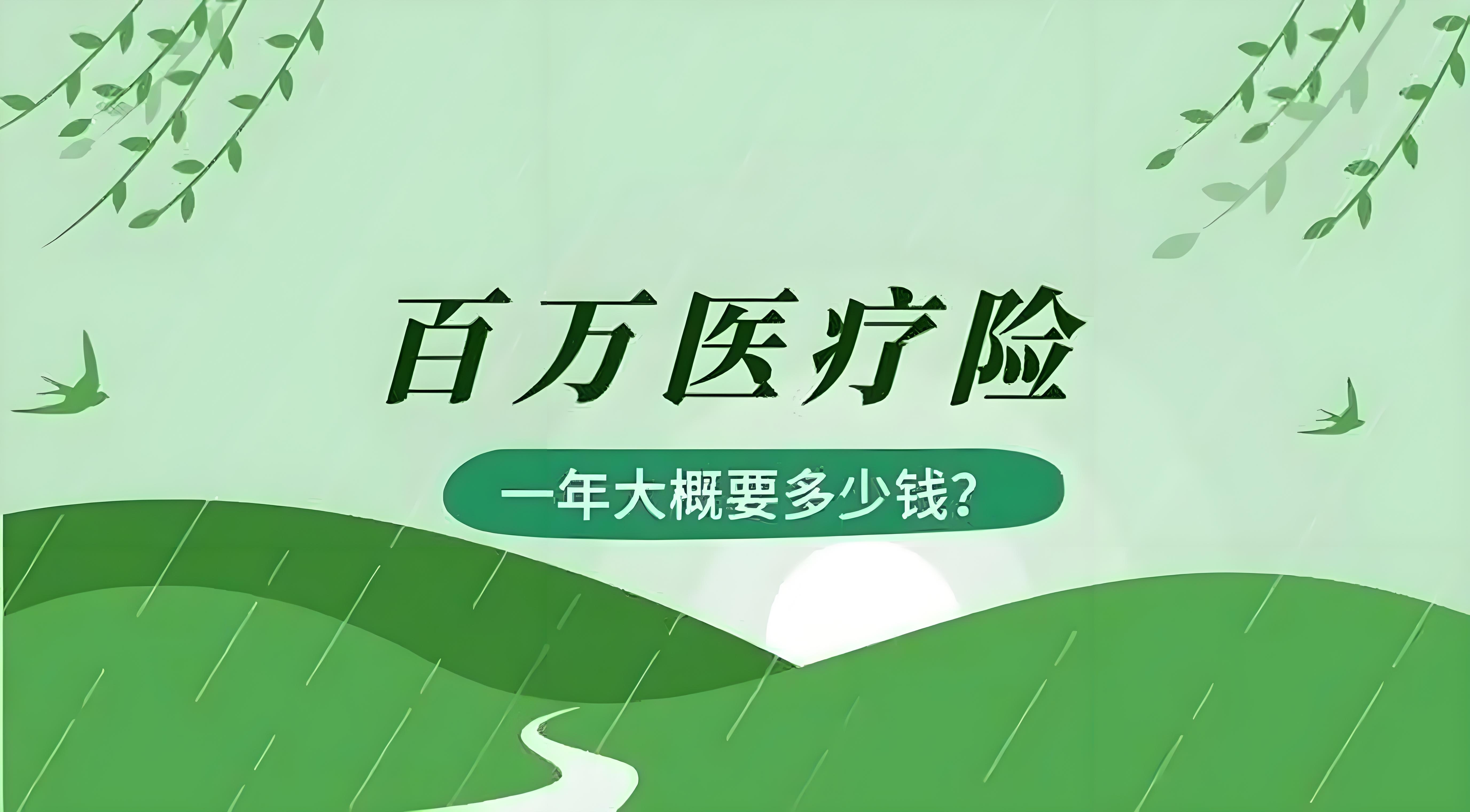 2025中国智慧医疗行业：科技重塑医疗生态_人保车险,人保财险政银保 