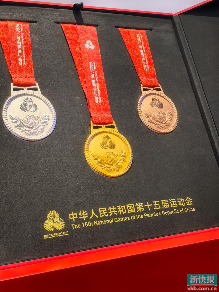 (粤港澳全运会)盘点十五运会值得铭记的“再见”