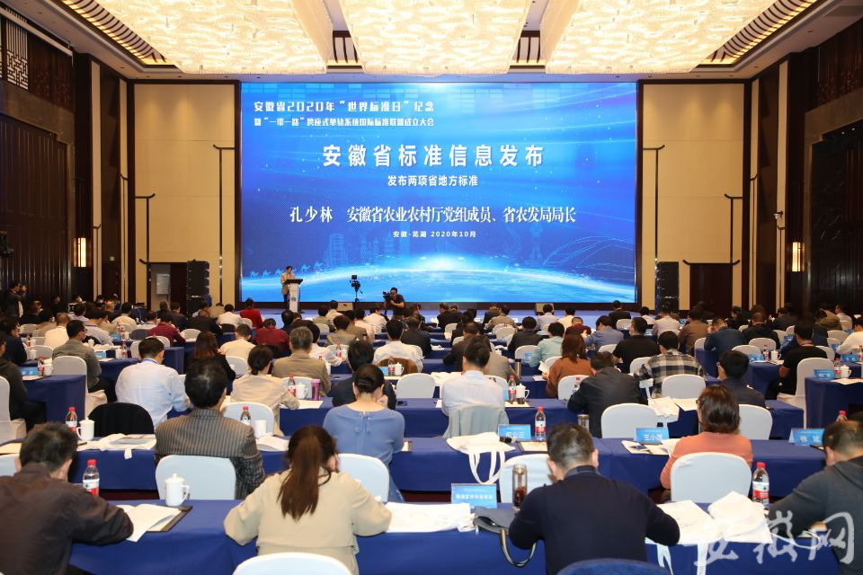 全国城市更新工作推进会在安徽芜湖召开