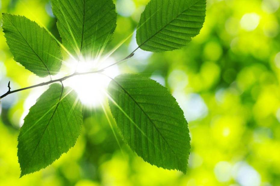 中方发布《绿色矿产国际经贸合作倡议》和“落实《二十国集团支持非洲和最不发达国家工业化倡议》中国行动”