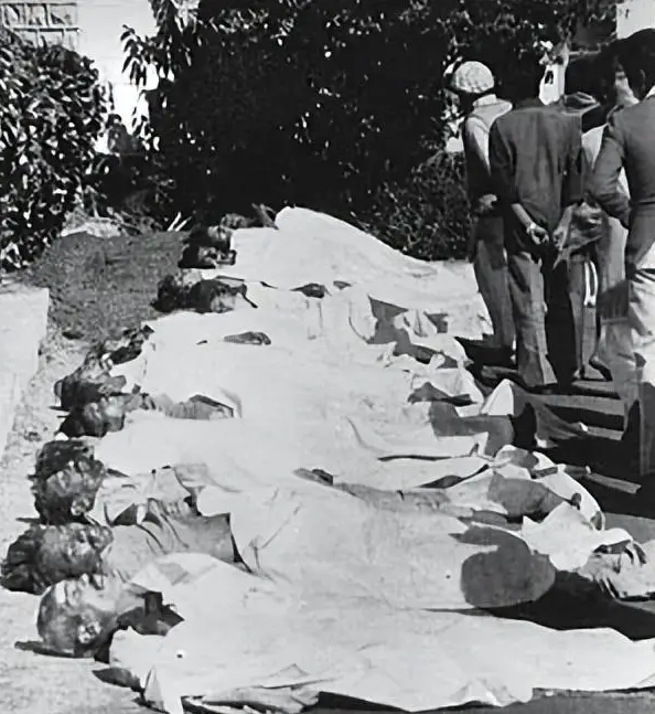 柬埔寨发生家庭惨案9人丧生