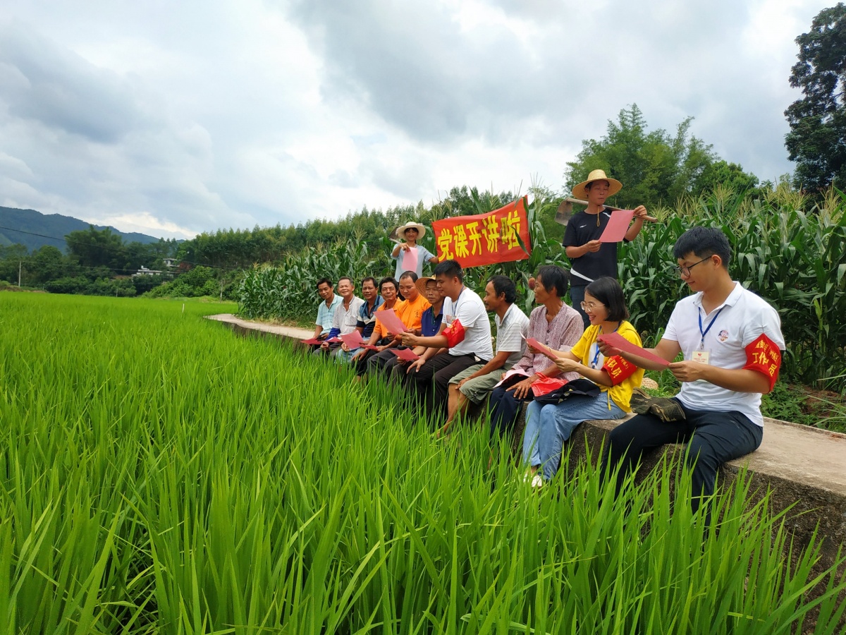 从纸面评审到田间实效,拼多多以赛事革新激活科技兴农实战力