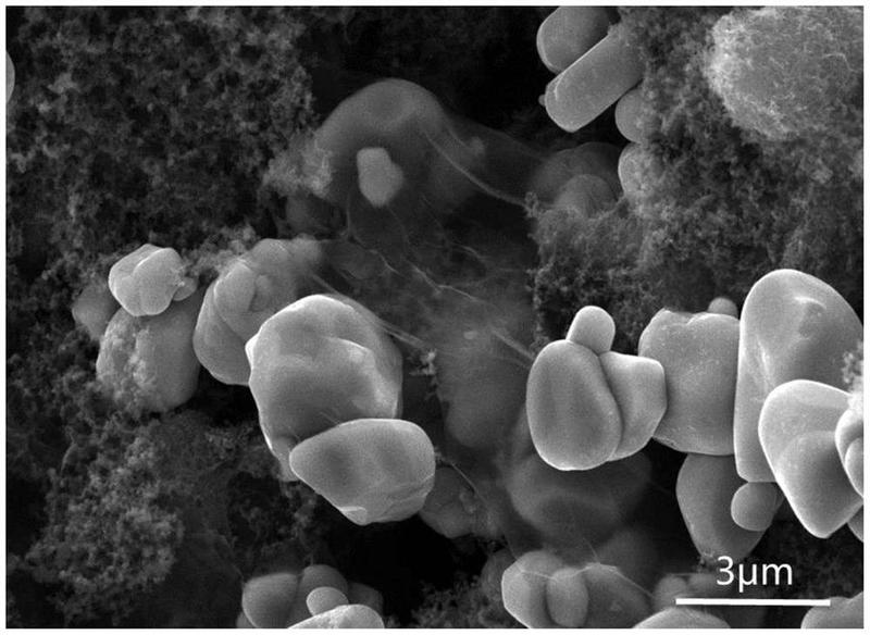 道氏技术：单壁碳纳米管浆料已向多家电芯客户规模化供货