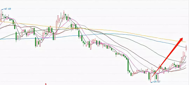 赛托生物:接受投资者调研