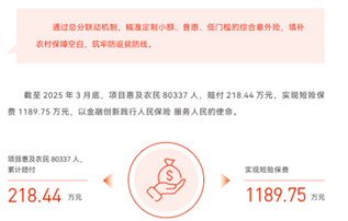 人保服务,人保护你周全_2025中国电商平台行业:头部筑壁垒与垂直破圈层的双轨演进