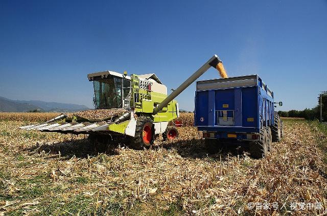本周芝加哥玉米和小麦期货跌超4%,原糖和纽约可可至少涨3.6%