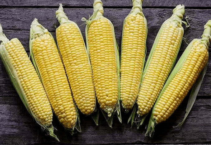 本周芝加哥玉米和小麦期货跌超4%,原糖和纽约可可至少涨3.6%