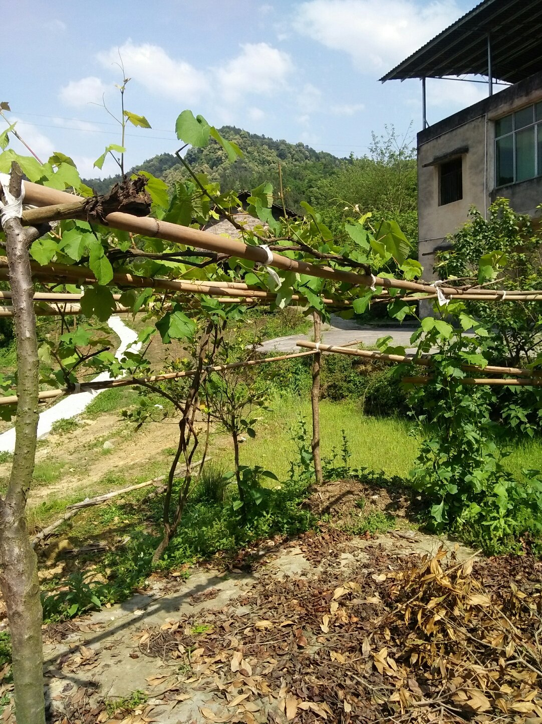 新金路11月28日龙虎榜数据