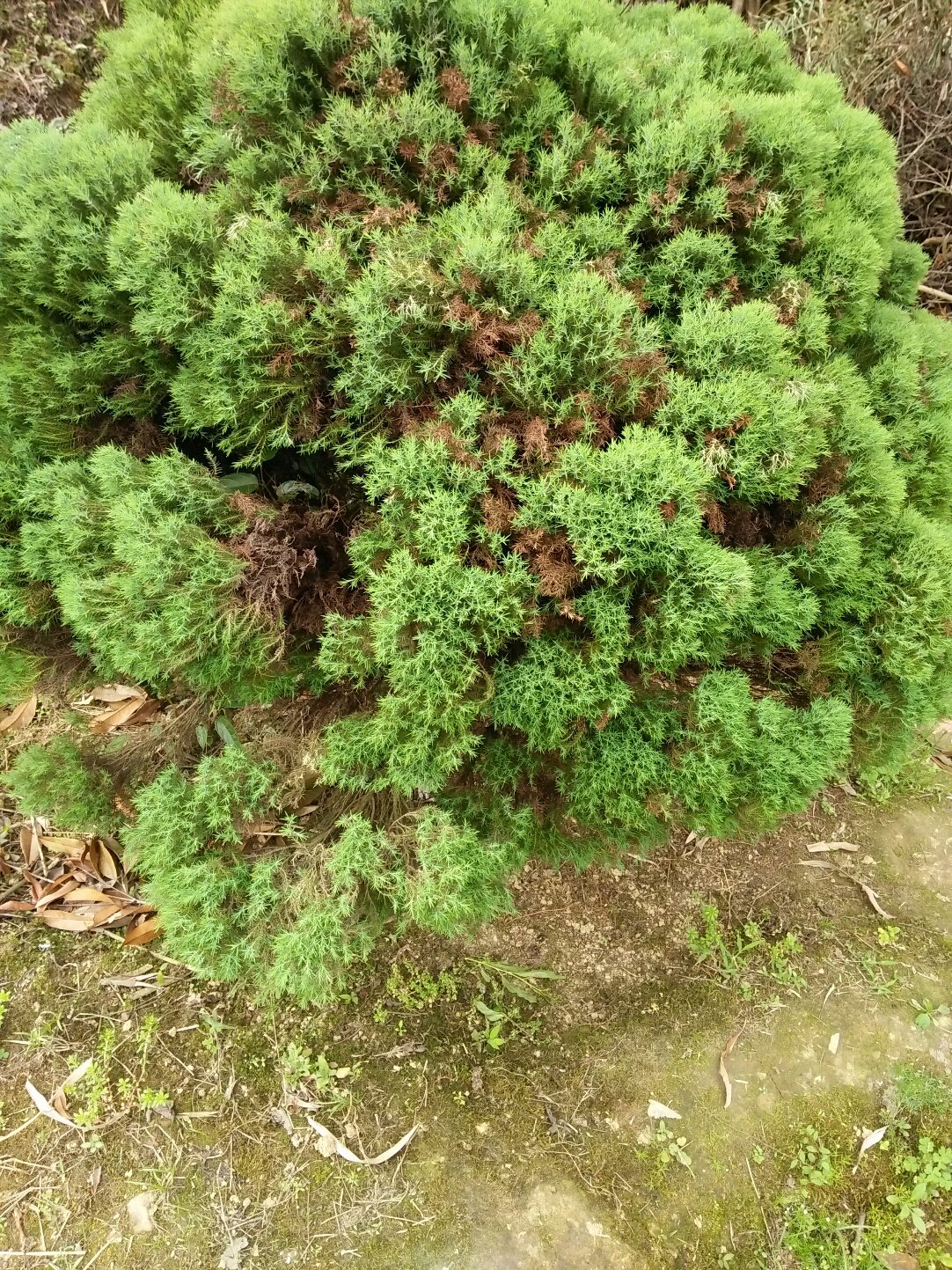 新金路11月28日龙虎榜数据