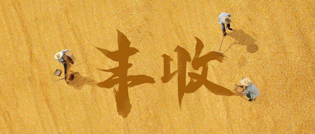 数智浸润乡野沃土 云端绘就振兴新画卷