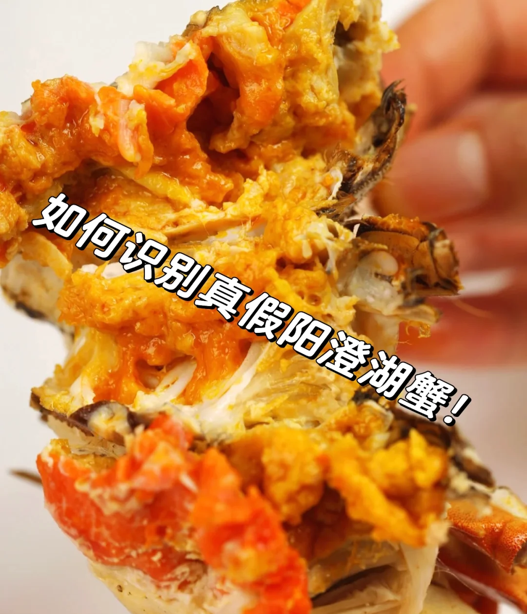 AI造假“死螃蟹”诈骗商家195元退款，“顾客”被行拘8日，案件细节曝光：死蟹公母数明显不对，甚至出现5只小腿的蟹