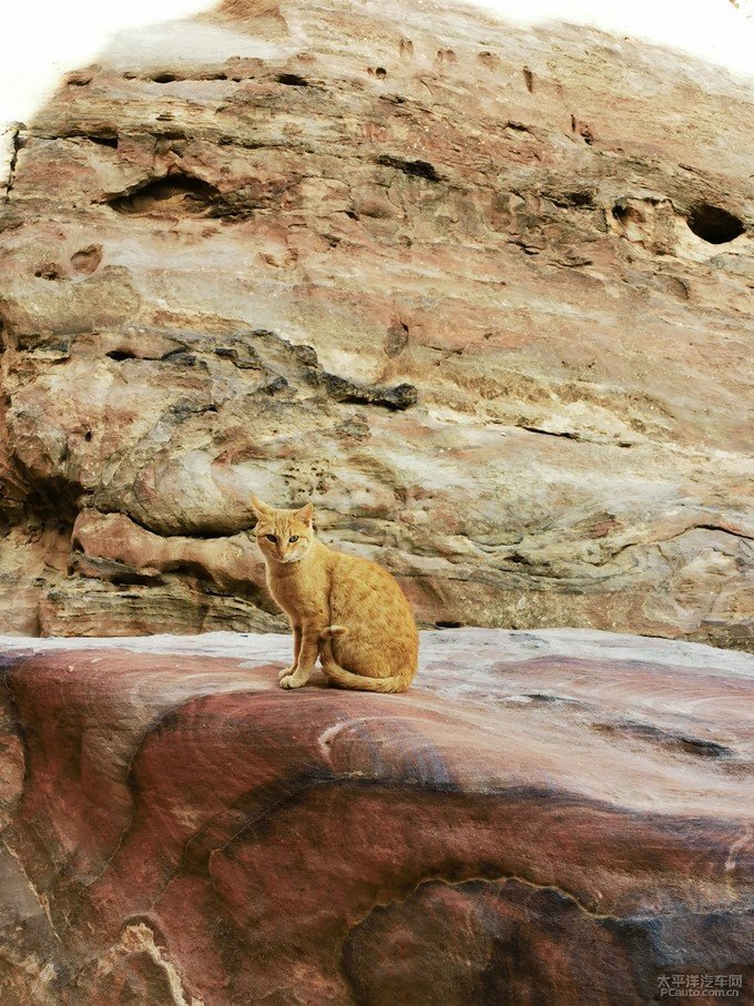 在沙漠中拍“大海”，导演吴双的“西天取经”路