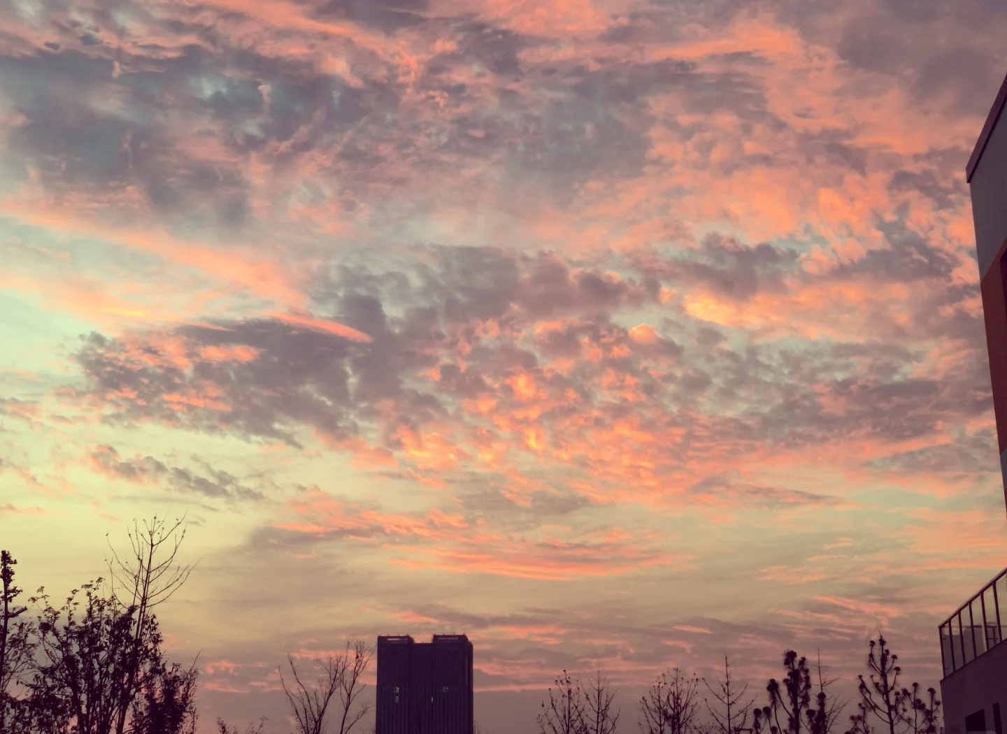 原芜湖职业技术学院党委书记汪斌接受审查调查