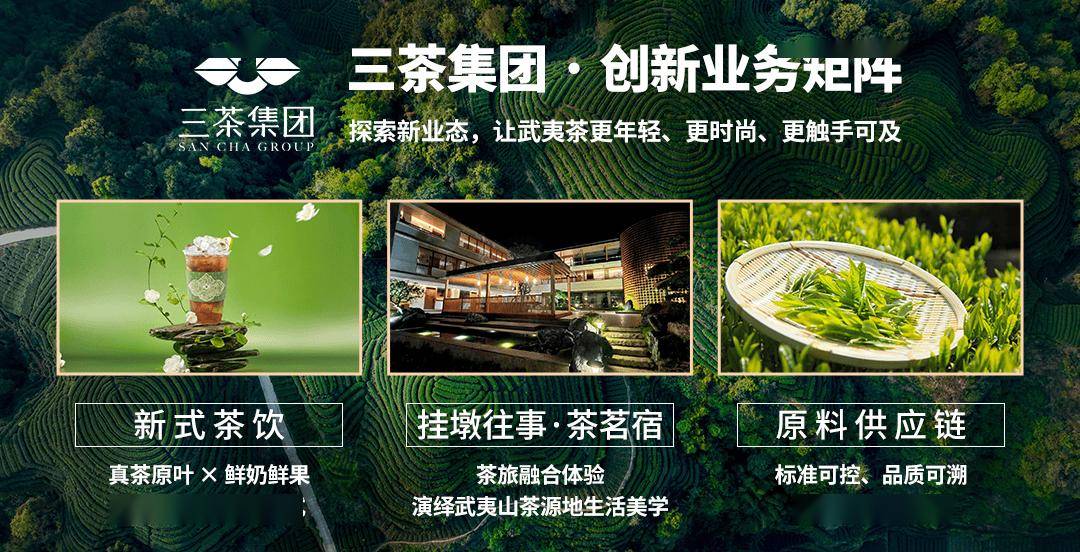 福建清流：一片茶叶连两岸 茶旅融合促振兴