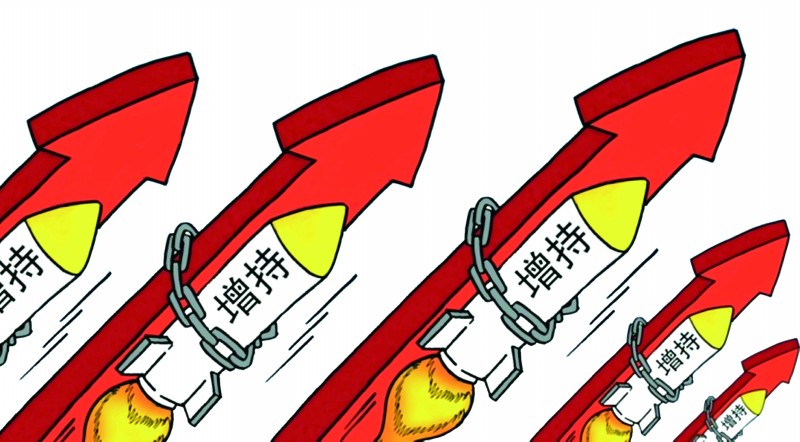 真兰仪表:董事长之一致行动人拟增持公司股份