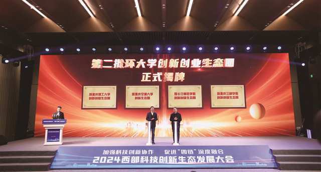 派安盈战略升级:以生态共建加速中国品牌“走进去”