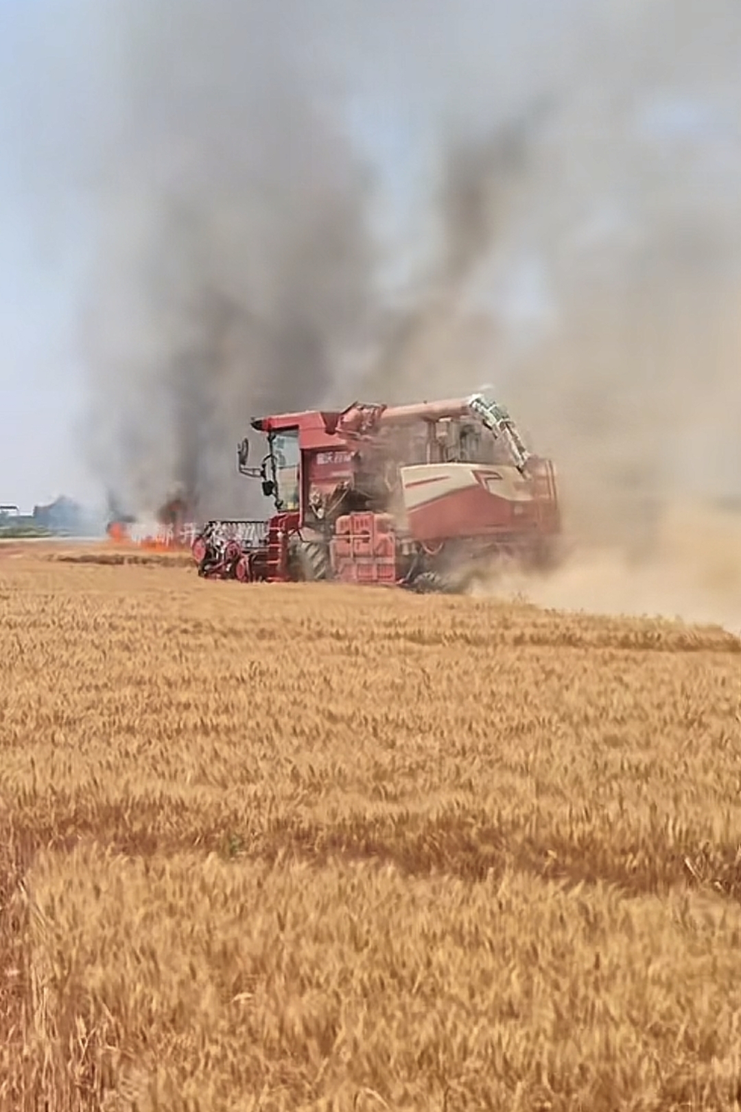 （走进中国乡村）共享农机开进“中国蔗海” 机械化跑出加速度