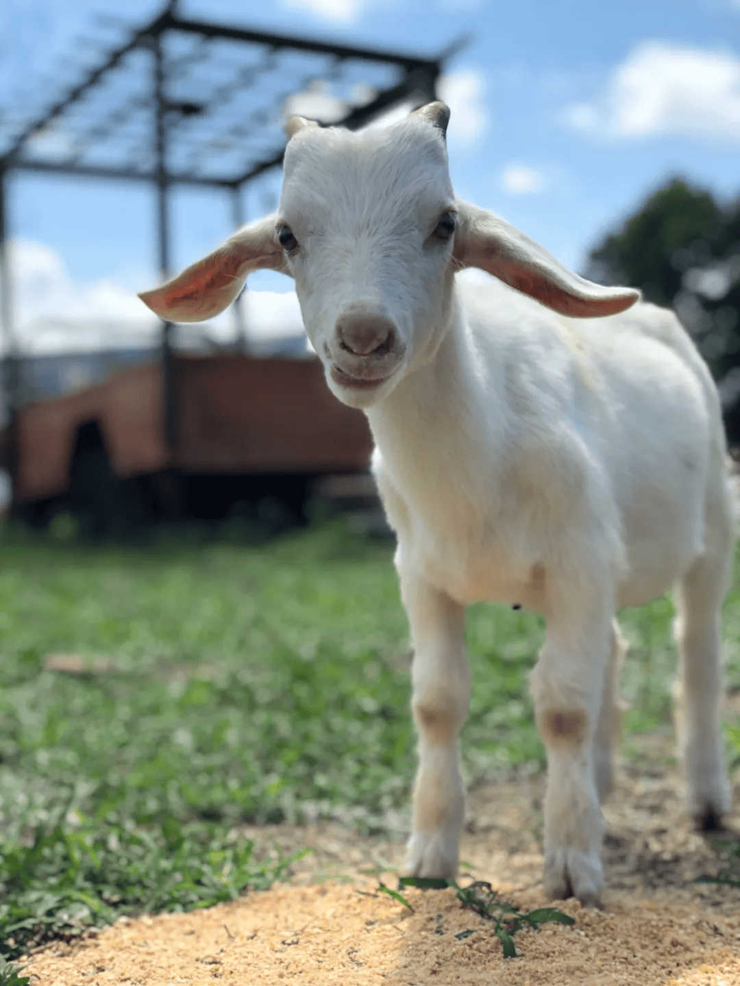 富邦科技:推进“天生旦”百万亩科技助农示范项目落地