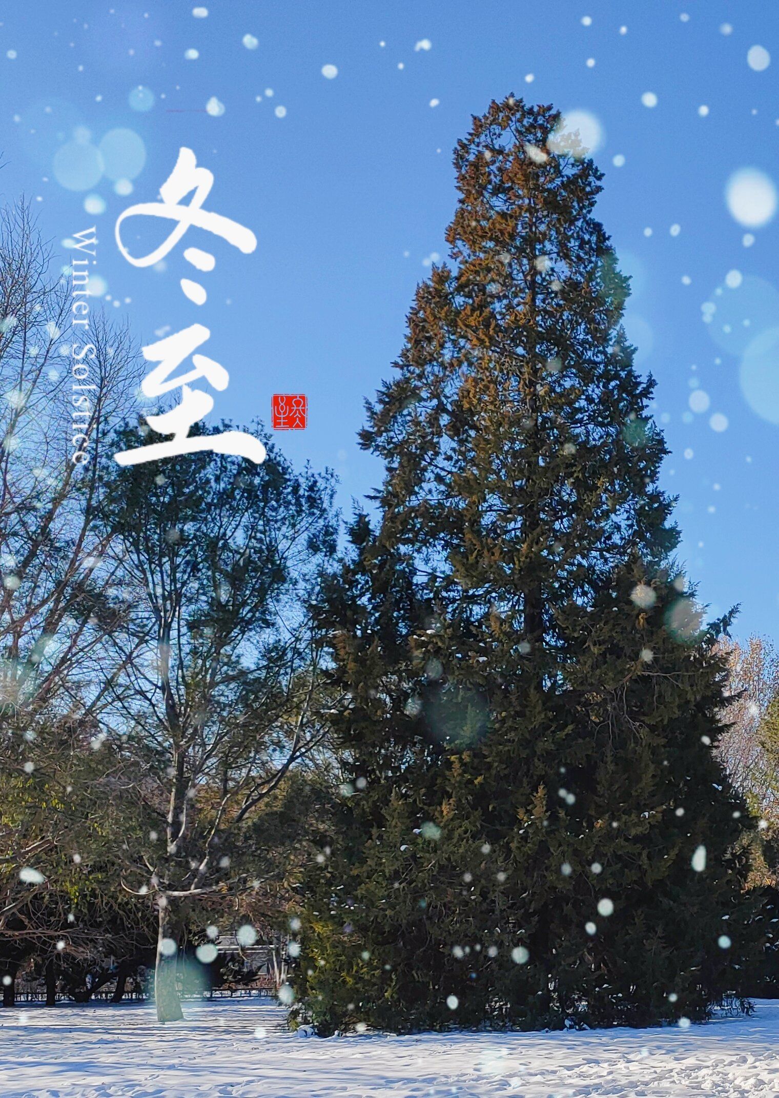 今日冬至