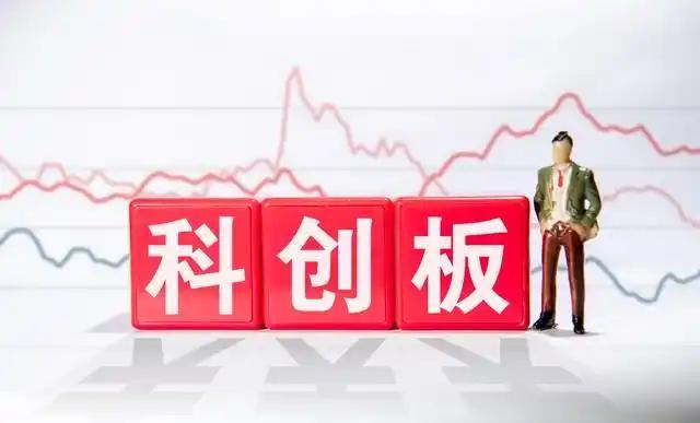 12月19日科创板高换手率股票(附股)