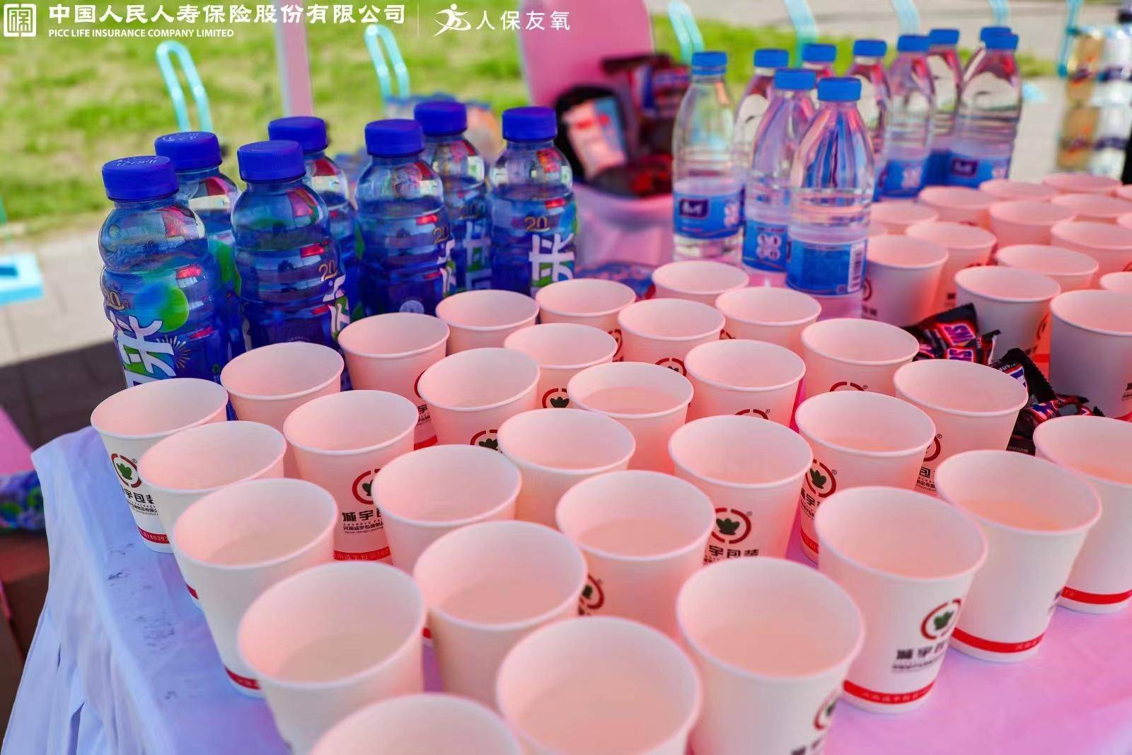 人保服务 ,人保财险 _2026年开心果行业现状与发展趋势深度分析