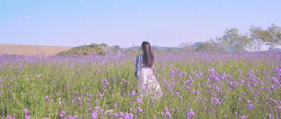 DeepSeek,最新发布!