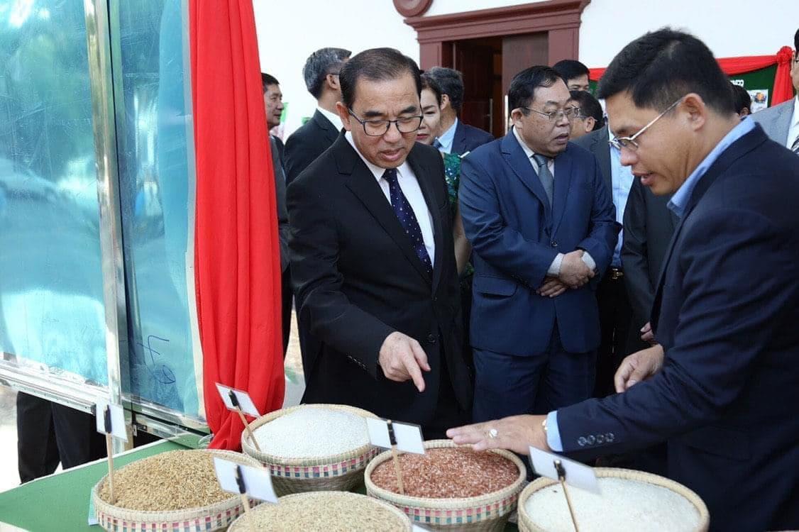 柬埔寨2025年大米出口量创历史新高