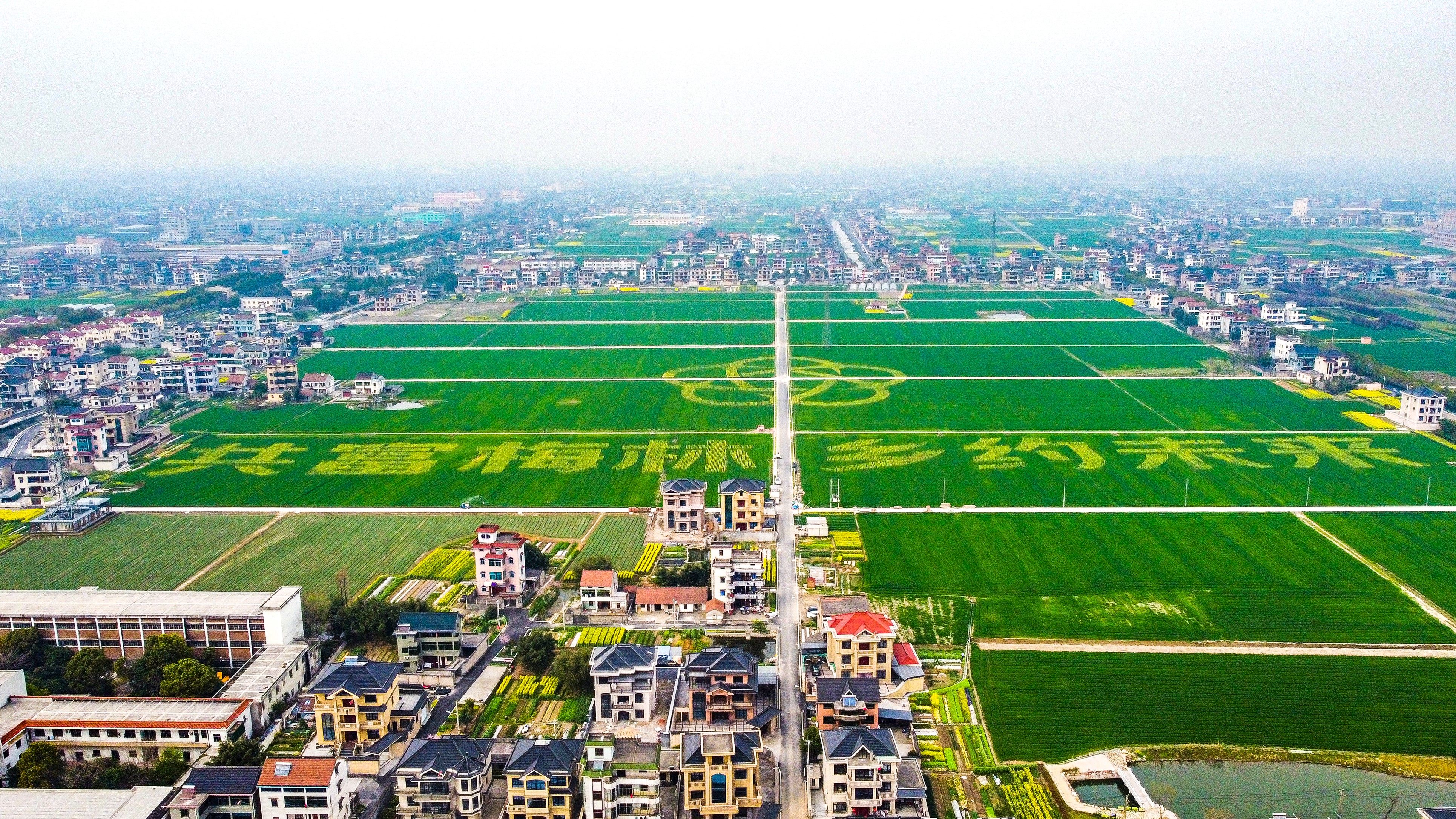 (走进中国乡村)浙江湖州乡村咖啡香飘老蚕房