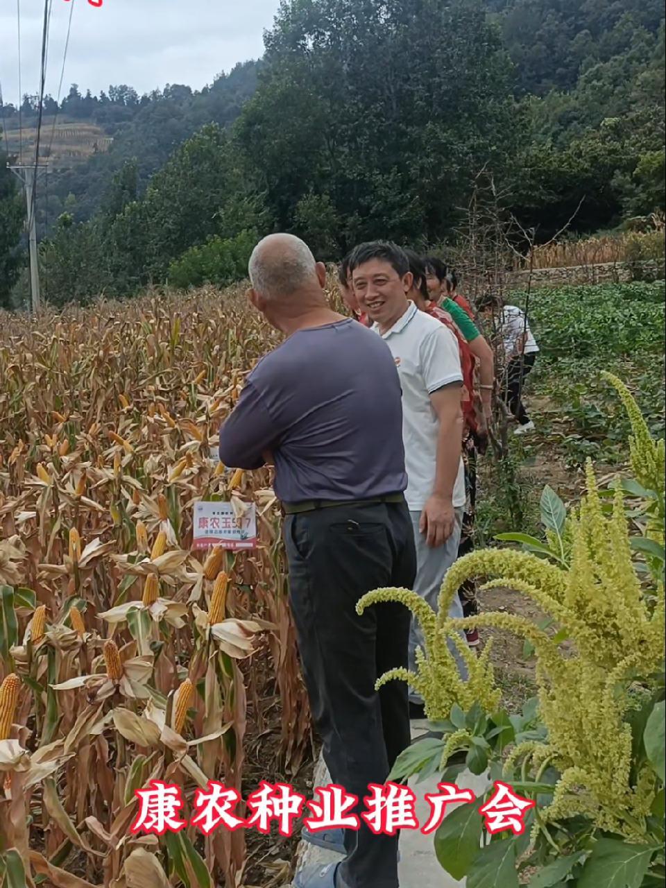 康农种业(837403):披露业绩快报,2024年盈利8323万元