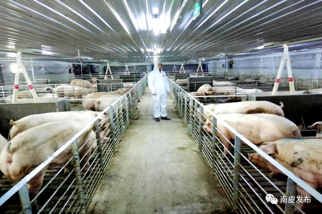 温氏股份：公司当前有投资布局与农牧业相关的智能化机器人技术