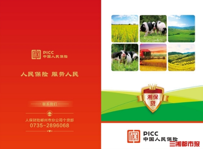 保险有温度,人保有温度_2026年电煎锅行业市场深度调研及未来发展趋势