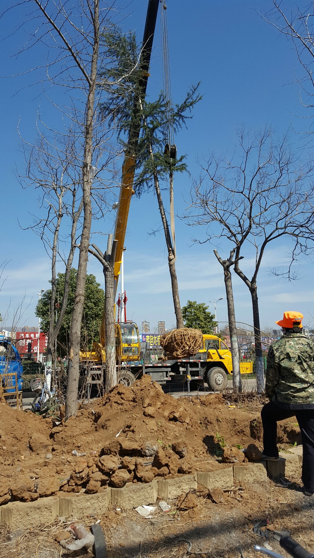 “24科建02”将于1月19日付息