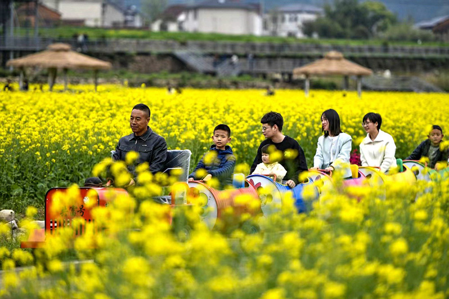 （乡村行・看振兴）重庆乡村“抱团”奔赴振兴路：从“一村探路”到“百村共富”