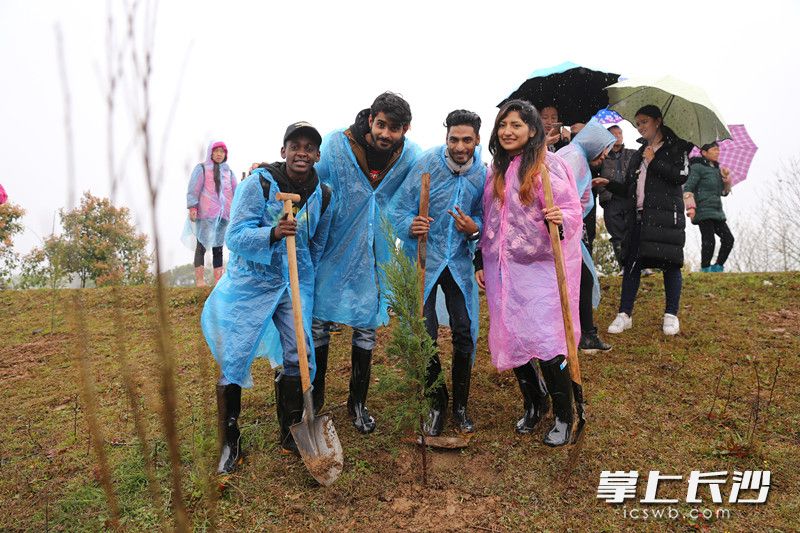 鼎信通讯风波不断：两位创始人解体，高管短线交易踩红线，新掌门人难挽亏损