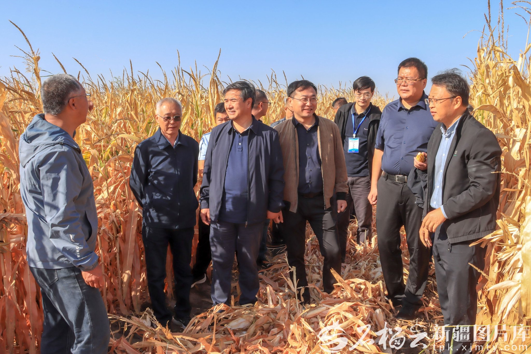 科技改良让盐碱地变身“致富田”