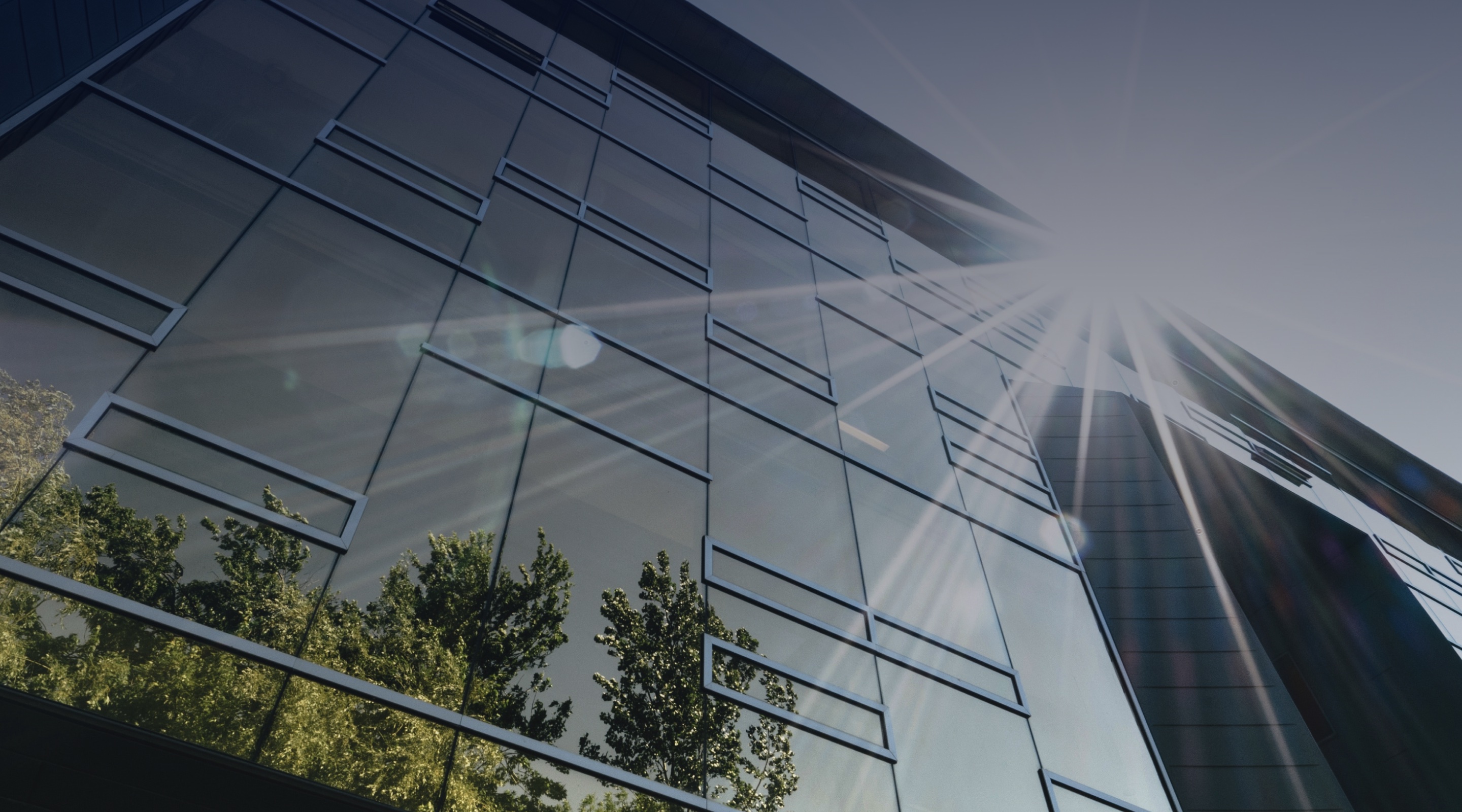 浙大网新：子公司中标广西融资担保集团数据中心项目