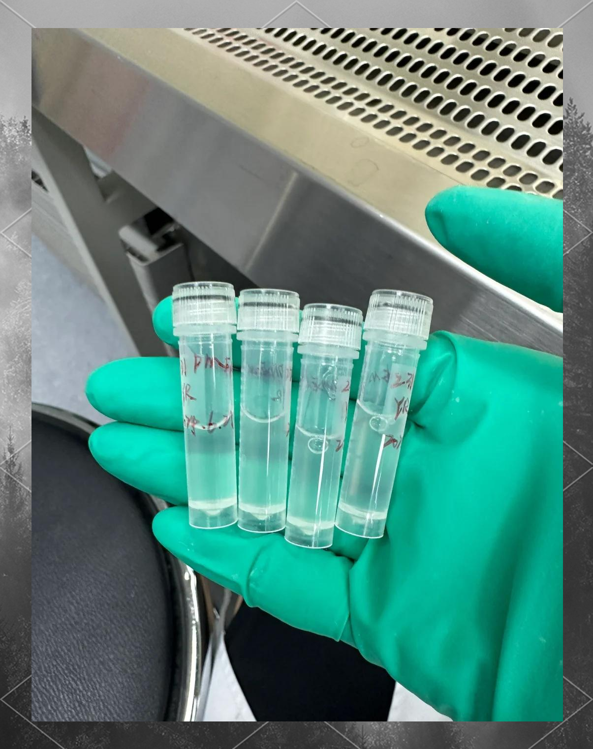 科学与健康丨探秘南极冰间湖！为地球气候档案添新知