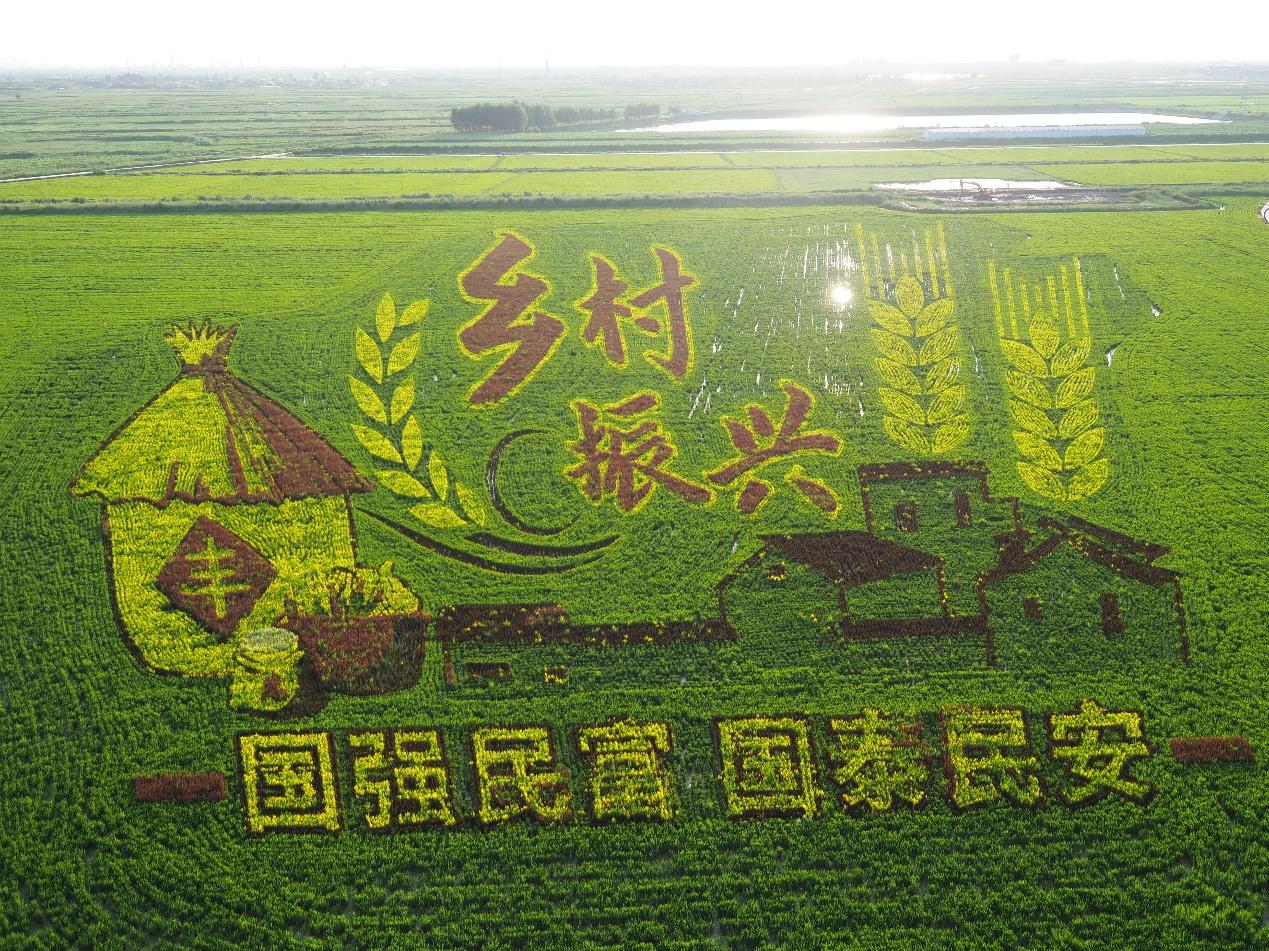 甘咨询：子公司已承接黄河流域生态保护相关项目