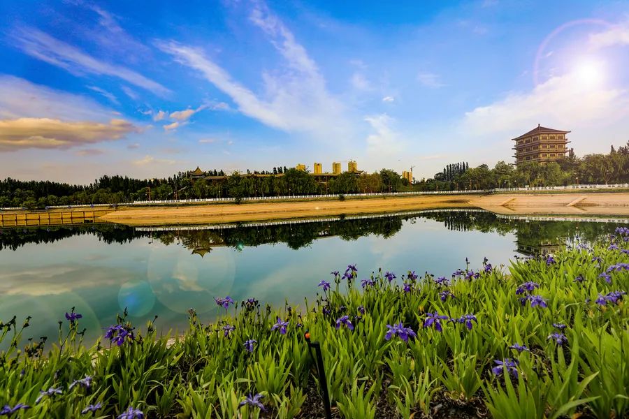 甘咨询：子公司已承接黄河流域生态保护相关项目