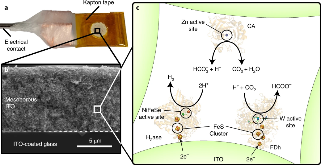 华锡有色获得发明专利授权：“一种催化材料及制备方法和在电催化二氧化碳还原中应用”