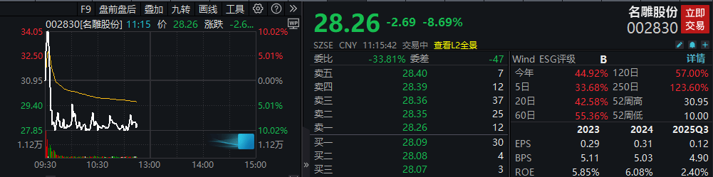 名雕股份上演“地天板”行情