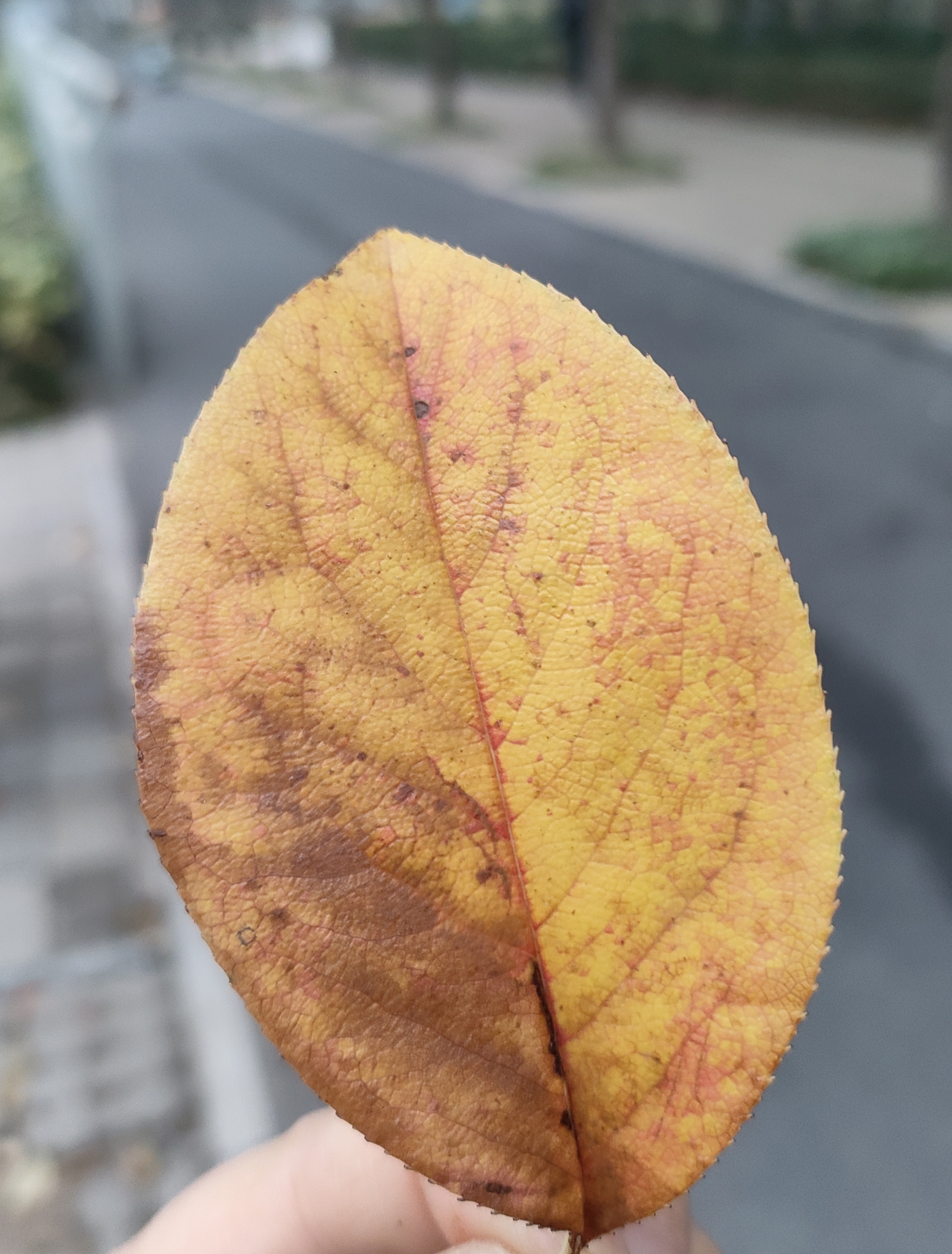 人保服务,拥有“如意行”驾乘险，出行更顺畅！_2026水上运动行业发展现状及未来潜力分析