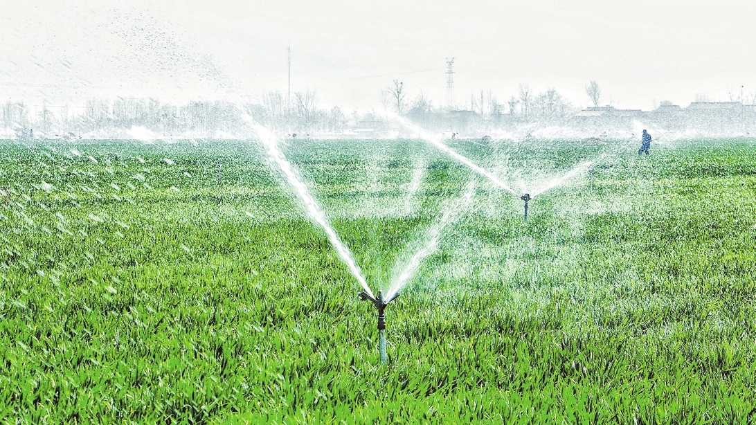 河南印发《方案》 加强春管夺夏季油粮丰收