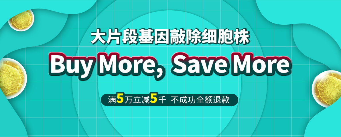 新技术可长时间“监控”细胞的基因活动