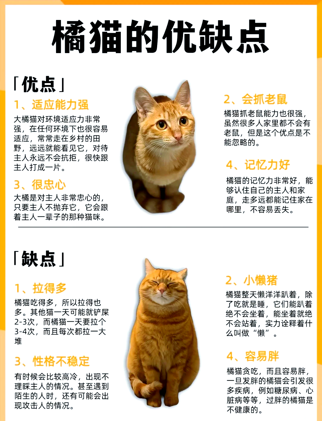 科普|薛定谔猫又“变胖”了