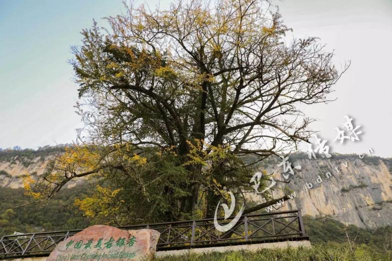 （走进中国乡村）湘北小镇用浮标“钓”起全球市场