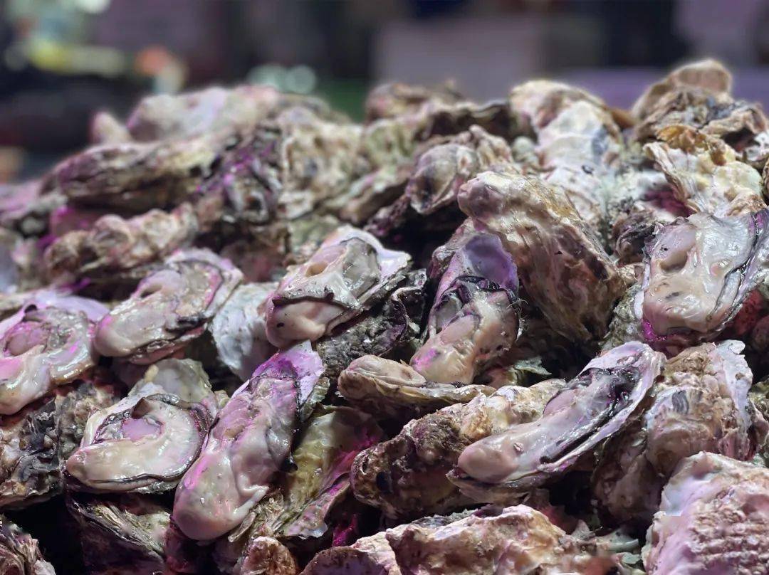 (新春走基层・民企这一年)万亿出海潮,中国创新药迫近“新三样”