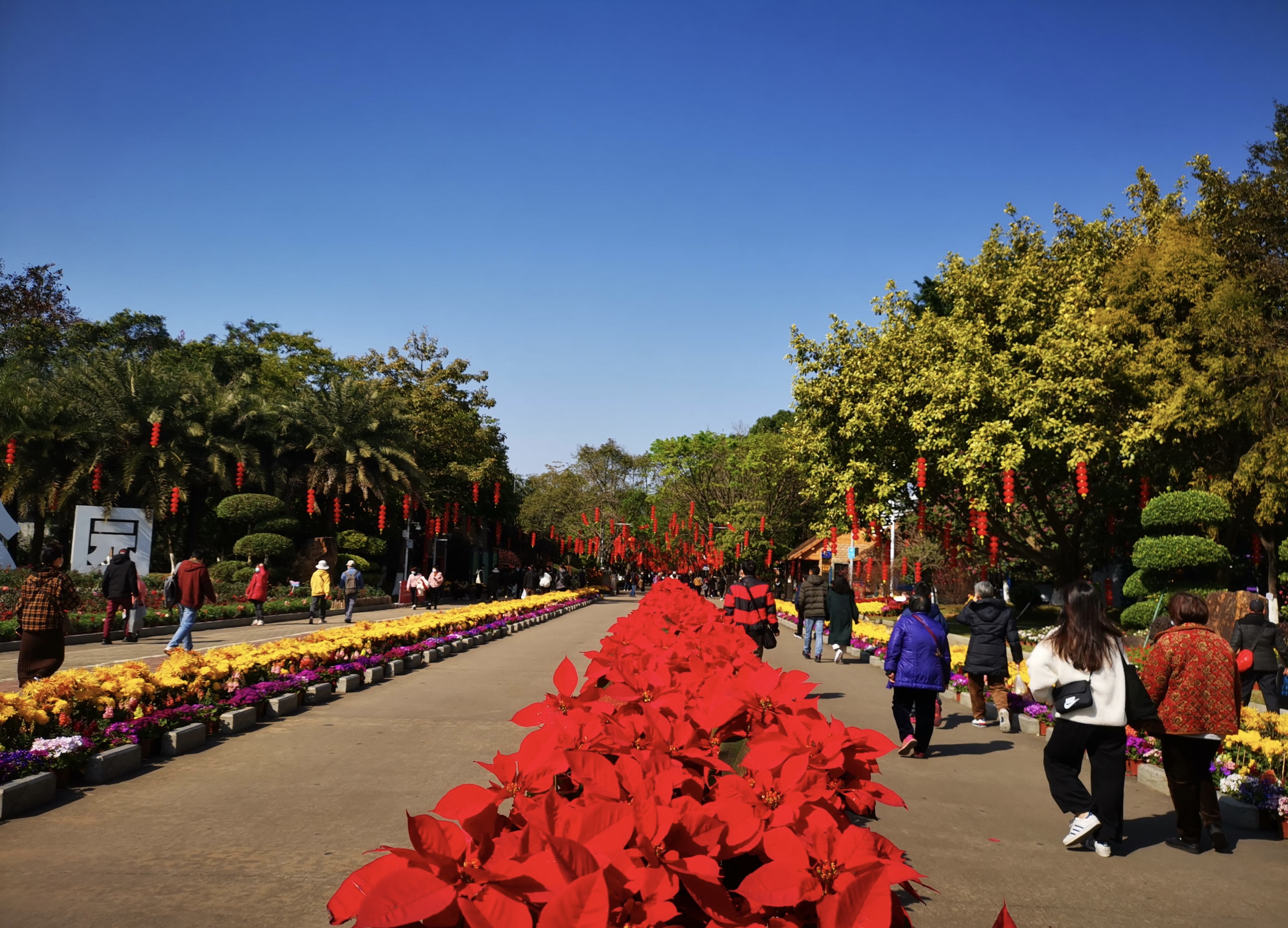 春节假期，湖南累计接待游客超5842万人次